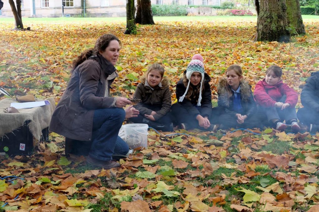 Growtheatre - Stone Age
