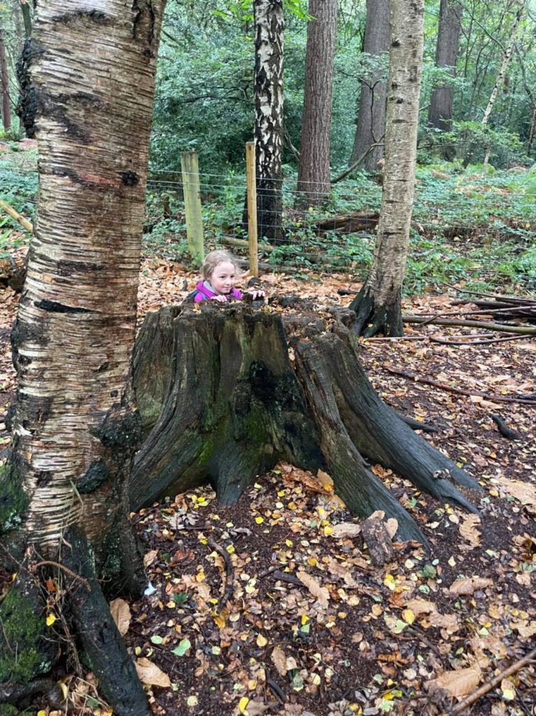 Growtheatre - promenade and playback